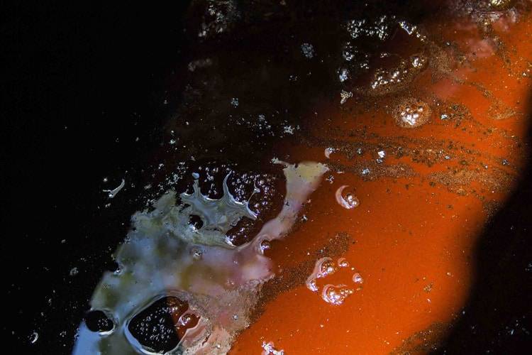 Four Transformations that Ayahuasca Tourism is Producing in the Traditional Ayahuasca Practice