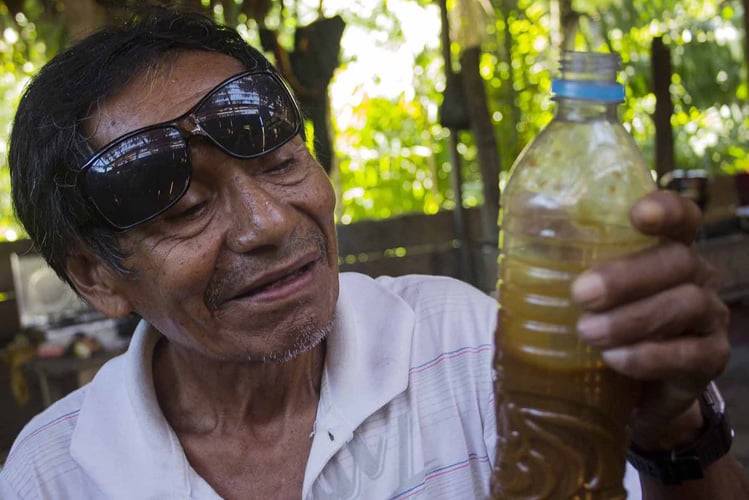 Four Transformations that Ayahuasca Tourism is Producing in the Traditional Ayahuasca Practice