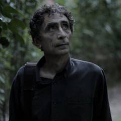 The Jungle Prescription