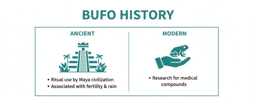 bufo