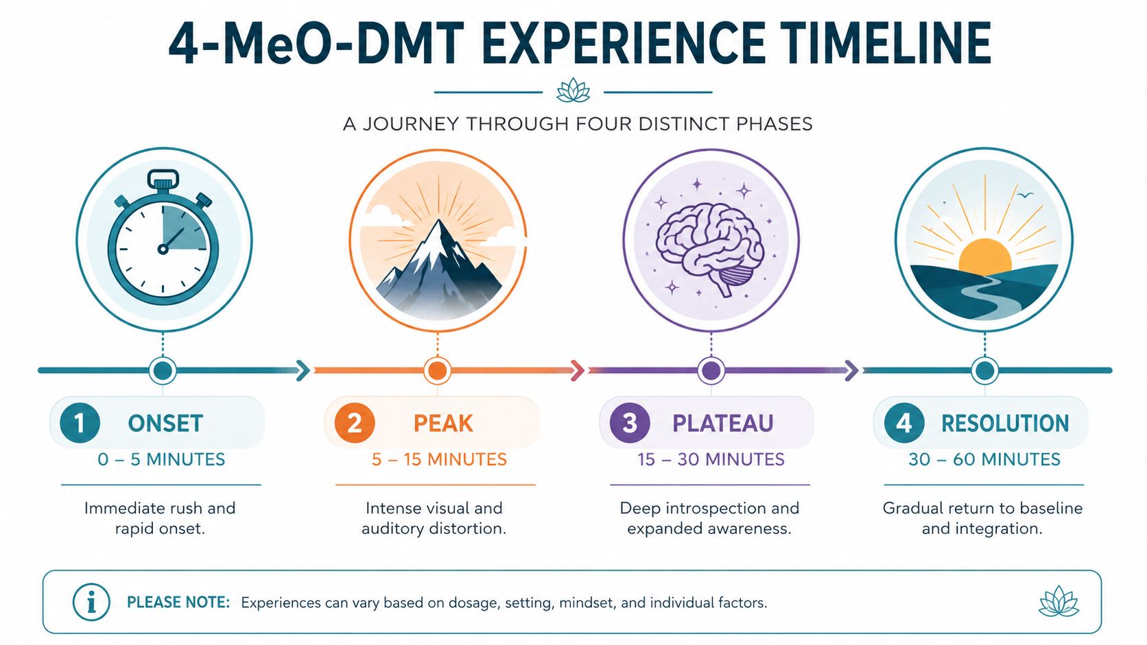 A visual timeline infographic outlining the four distinct phases of a 4 MeO DMT experience from onset to resolution.