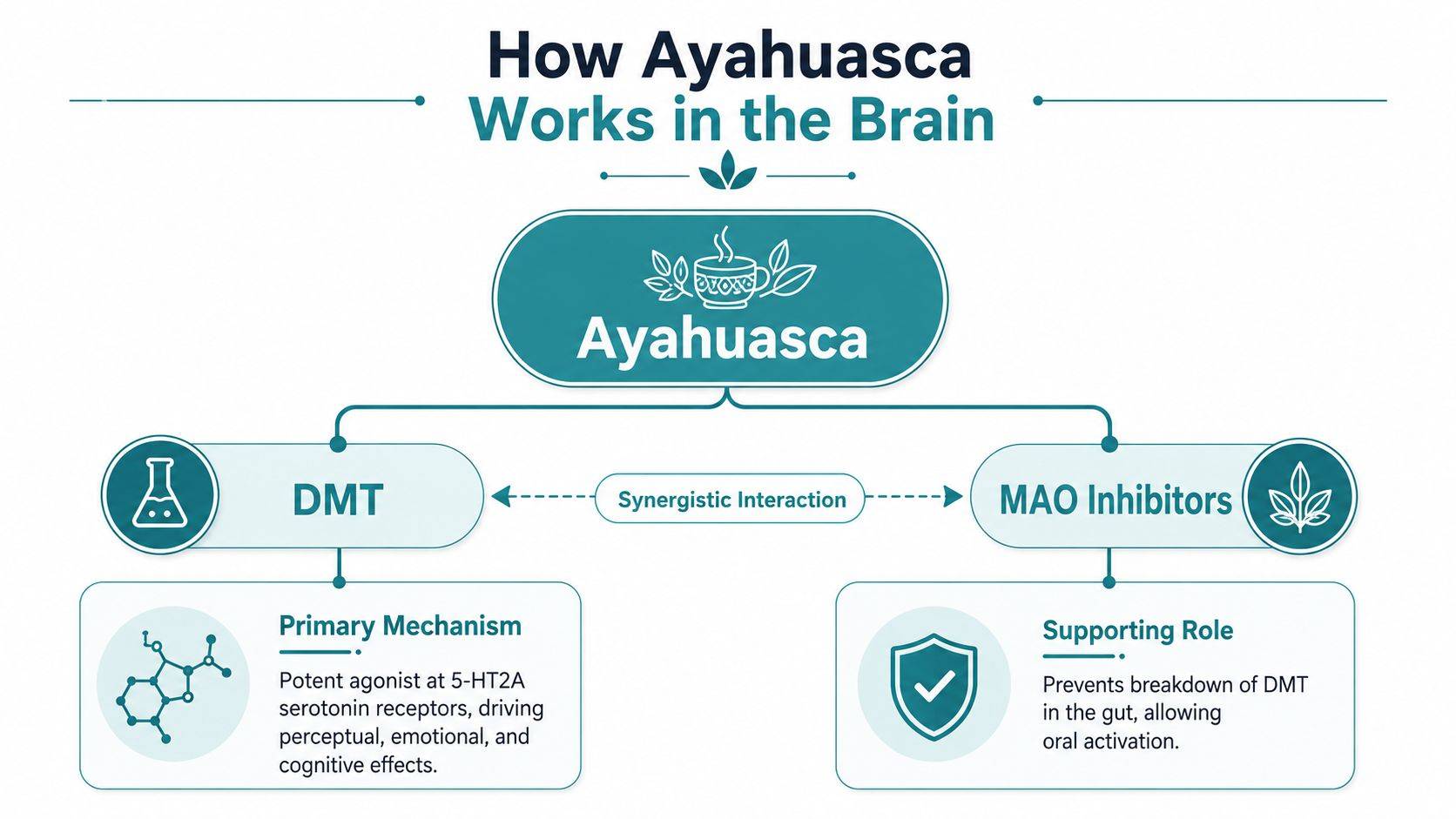 Ayahuasca and Schizophrenia