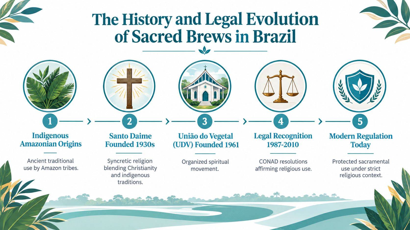 A timeline infographic detailing the history and legal evolution of sacred brews in Brazil from origins to regulation.