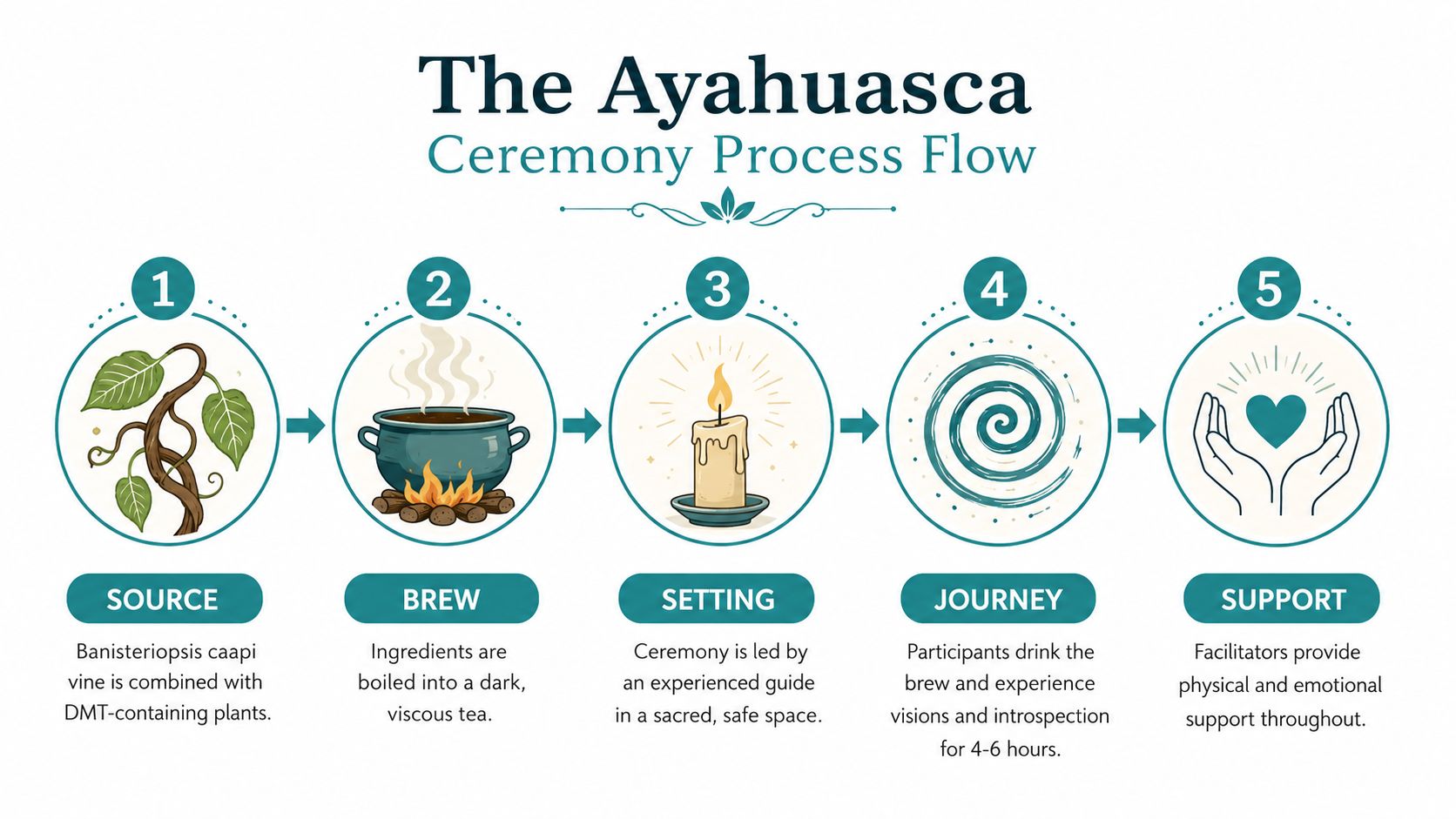 ayahuasca retreat for veterans