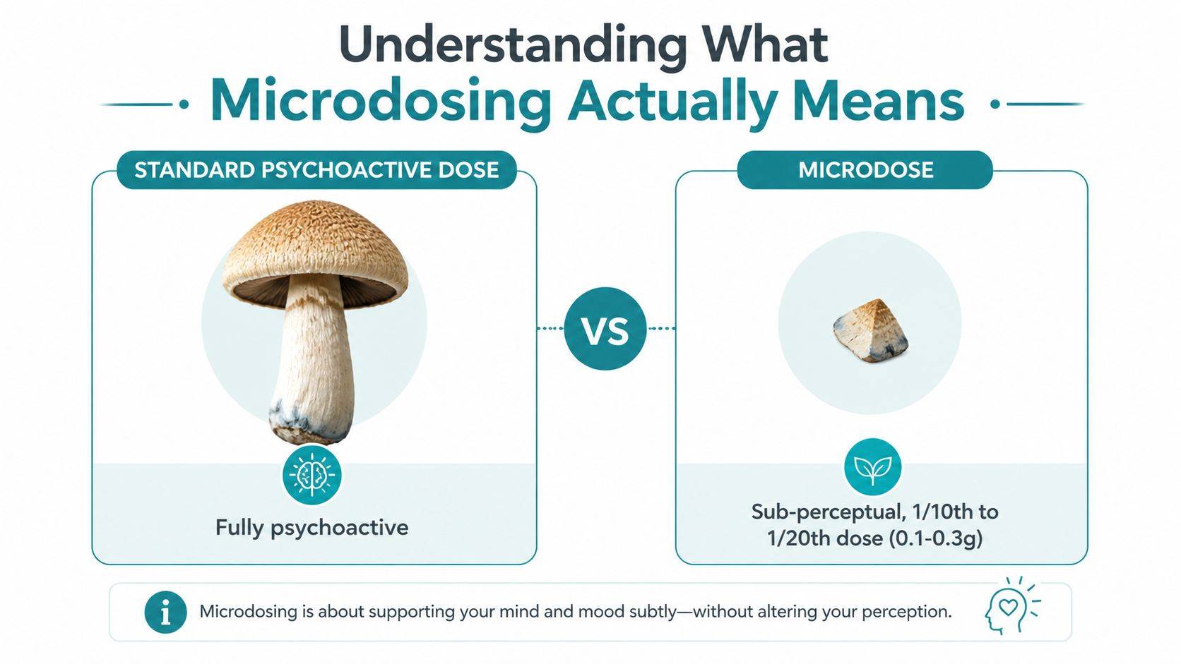 An infographic comparing a full psychoactive mushroom dose to a tiny microdose for subtle mood support.