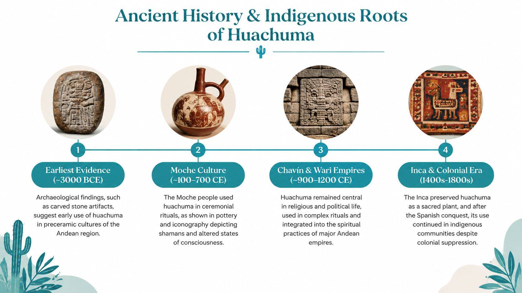 An infographic timeline detailing the ancient history and indigenous roots of the huachuma plant medicine.